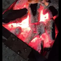 زغال کبابی مورد کنار