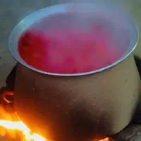رب خانگی|خوردنی و آشامیدنی|خمین, |دیوار