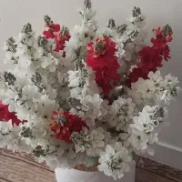 گلدان نانو