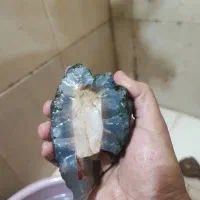 سنگ راف رنگ خاص