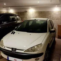 206 فرانسوی خشک کلکسیونی