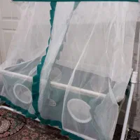 گهواره ، روروئک ، کریر