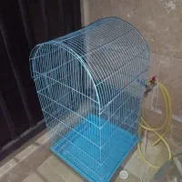 قفس پرنده