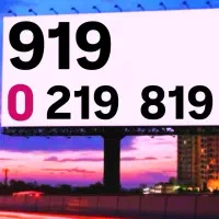 0919-33-99-88-0