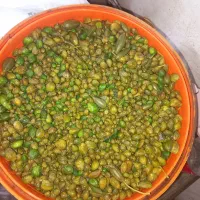 فروش کبر (کاپاریس) و هندوانه کوهی(یمیش الی)