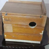 لانه گرینچیک و عروس هلندی