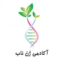 ارزیاب پیکرسنجی