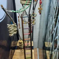 درخت مخصوص پرنده چیده شده