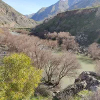پرستار خانم برای نگهداری سالمند