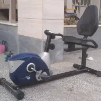 دوچرخه ثابت دولفین مبلی