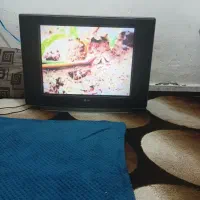 تلفزیون ال جی