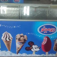 یخچال فریزر500لیتری
