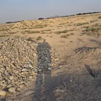 زمین-با-مجوز-دام-سبک-صنعتی-سند-ششدانگ