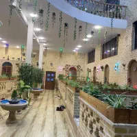 آشپز حرفه ای