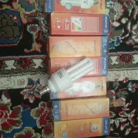 لامپ