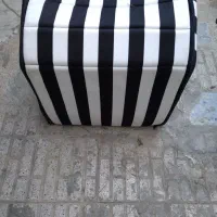 باکس سگ وگربه