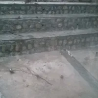 نیازمند نیروی فنی