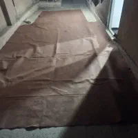 موکت مجموعا ۲۵متر تازه شسته شده