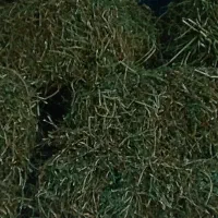 فروش یونجه گوسفندی