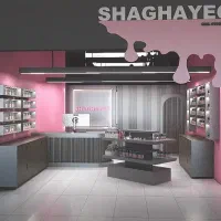 طراح و طراحی 3d سالن آرایشگاه و غیره...