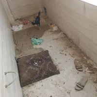 نیم چه لاری