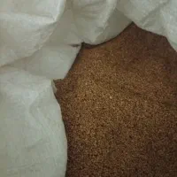 بذر یونجه ایرانشهری