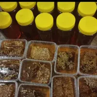 عسل|خوردنی و آشامیدنی|نیشابور, شهرک بسیج|دیوار