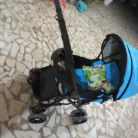 کالاسکه سالم