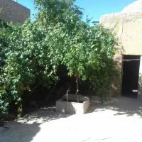 فروش خانه گلی دو نبش در خیابان ۷۲ تن