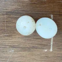 یک جفت مهره برد قدیمی