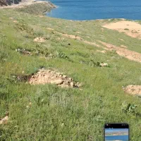 جا برای نگهداری زنبور عسل