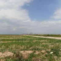 زمین کشاورزی 3هکتار