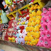 استخدام خانم همکار
