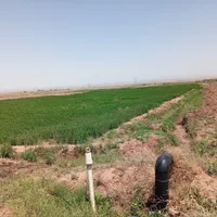 فروش زمین کشاورزی زراعی آب چاه تربت حیدریه