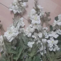 ۵ شاخه گل زیبا قابل شستشو