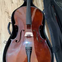 ویولنسل cello 4/4 مدل TF146 باسیم پیراسترو سبز
