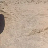 ملک چند قدمی شهر....