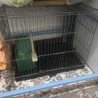قفس پرنده