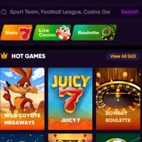 برنامه نویس پروژه های کریپتو و بلاکچین