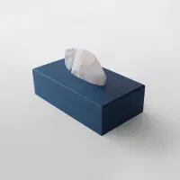 فروش دستمال کاغذی با کمترین قیمت بدونه واسطه