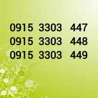 0915-3303-447