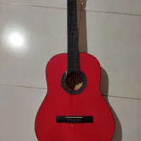 گیتار با کاور
