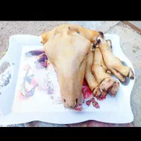 کله پاچه