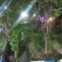 زمین باغ در ارنگه