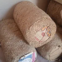 برگ زرد دربندر دیر روستای لمبدان درج یک