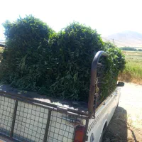 حمل بار به سراسر ایران