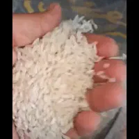 برنج آرسیکس هندی / نیم دانه هندی سفید