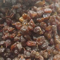 کشمش تمیز