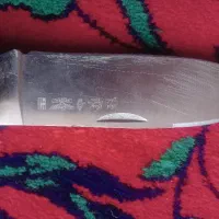 درخت و چاقو فروشی