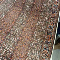 زرونیم بیجاراصل تکاب(فرش خیام)